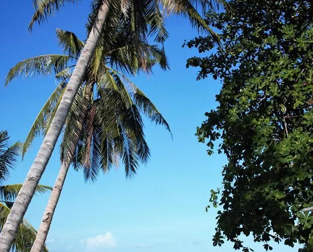 Ananets Hotel Santa Fe (Cebu)